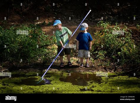 two boys Search